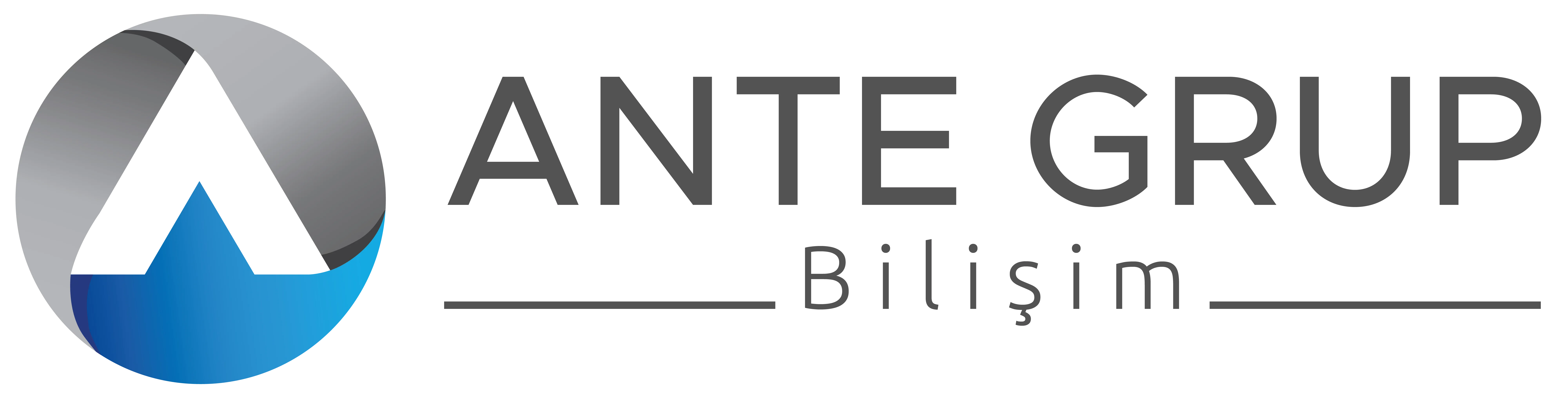 ANTE GRUP BILISIM TICARET ANONIM SIRKETI